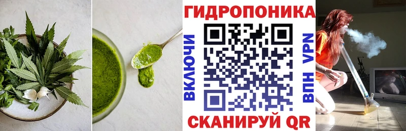 Cannafood конопля  Купить где  Пикалёво 