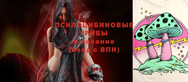 экстази Гусев
