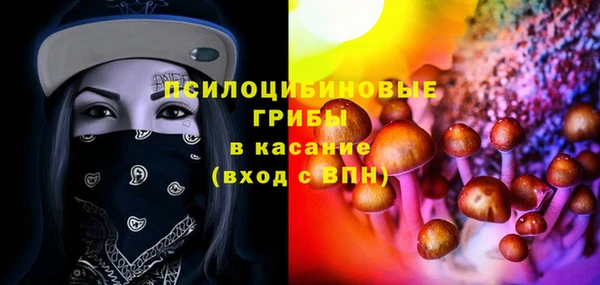 стафф Гусиноозёрск