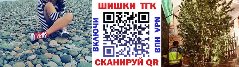 Купить закладки  Пикалёво  Канабис индика 