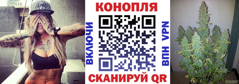 Каннабис конопля Пикалёво
